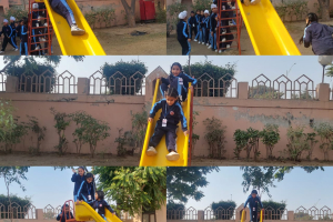 WhatsApp Image 2025-03-19 at 2.51.07 PM (1)